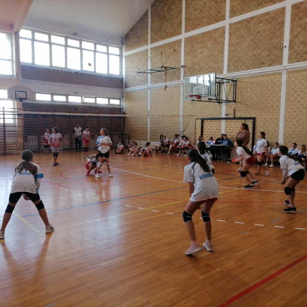 IMG-9ceb493733ca7b1fe5f1ff3bc25f70f5-V.jpg IMG-9ceb493733ca7b1fe5f1ff3bc25f70f5-V.jpg